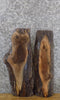 Thumbnail for 2- Black Walnut Live Edge Rustic DIY Charcuterie Boards/Slabs 5147-5148