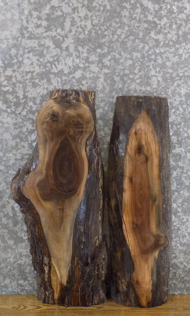 2- Black Walnut Live Edge Rustic DIY Charcuterie Boards/Slabs 5147-5148