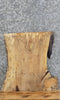 Thumbnail for Live Edge Spalted Maple Charcuterie Board/Butchers Block Slab 5153
