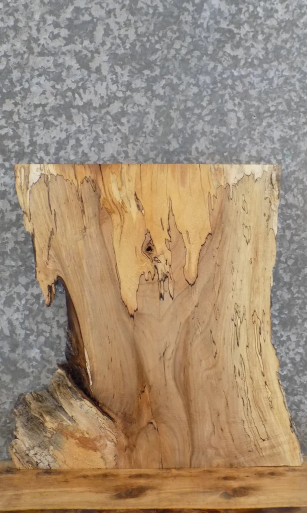 Live Edge Spalted Maple Charcuterie Board/Butchers Block Slab 5153