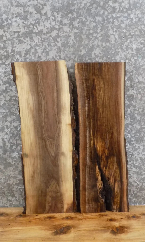 2- Live Edge Black Walnut Wall/Book/Floating Shelf Slabs CLOSEOUT 5156-5157