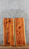 Thumbnail for 2- Natural Edge Red Cedar Taxidermy Boards 5180-5181