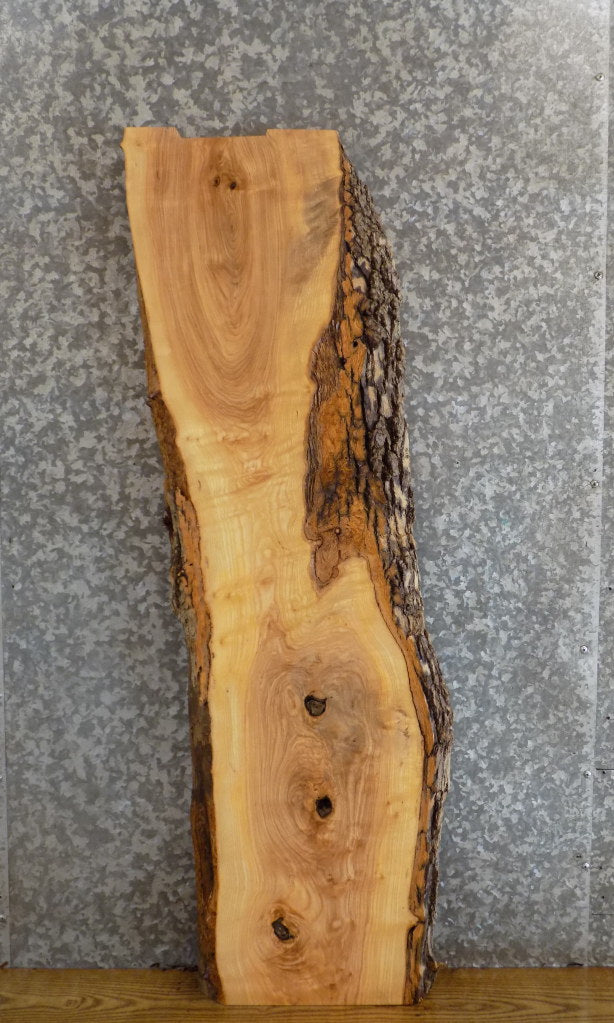 Natural Edge Ash Salvaged Sofa/Coffee/Side Table Top Slab 518