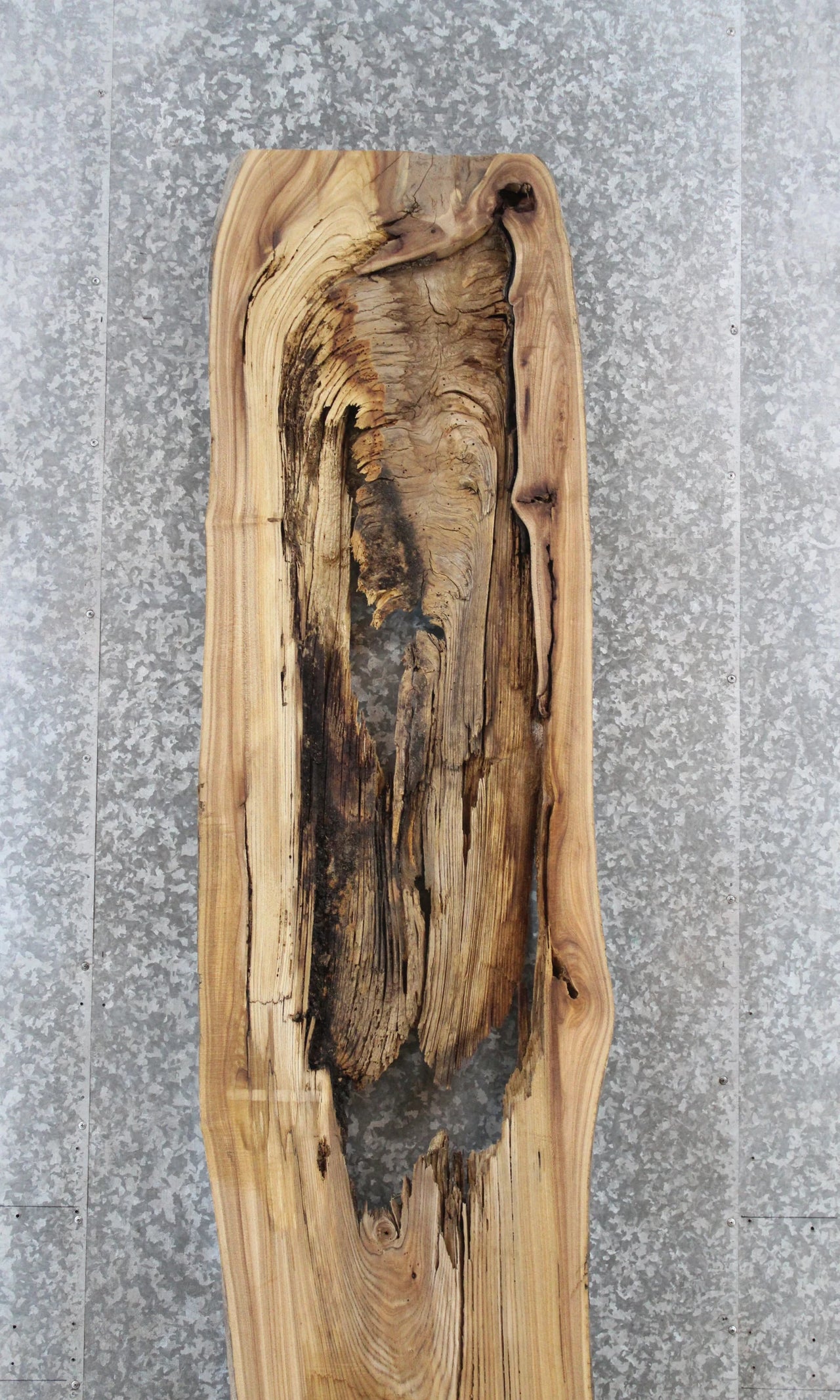 Elm Live Edge Bench/Bar Top/DIY Epoxy Slab 51