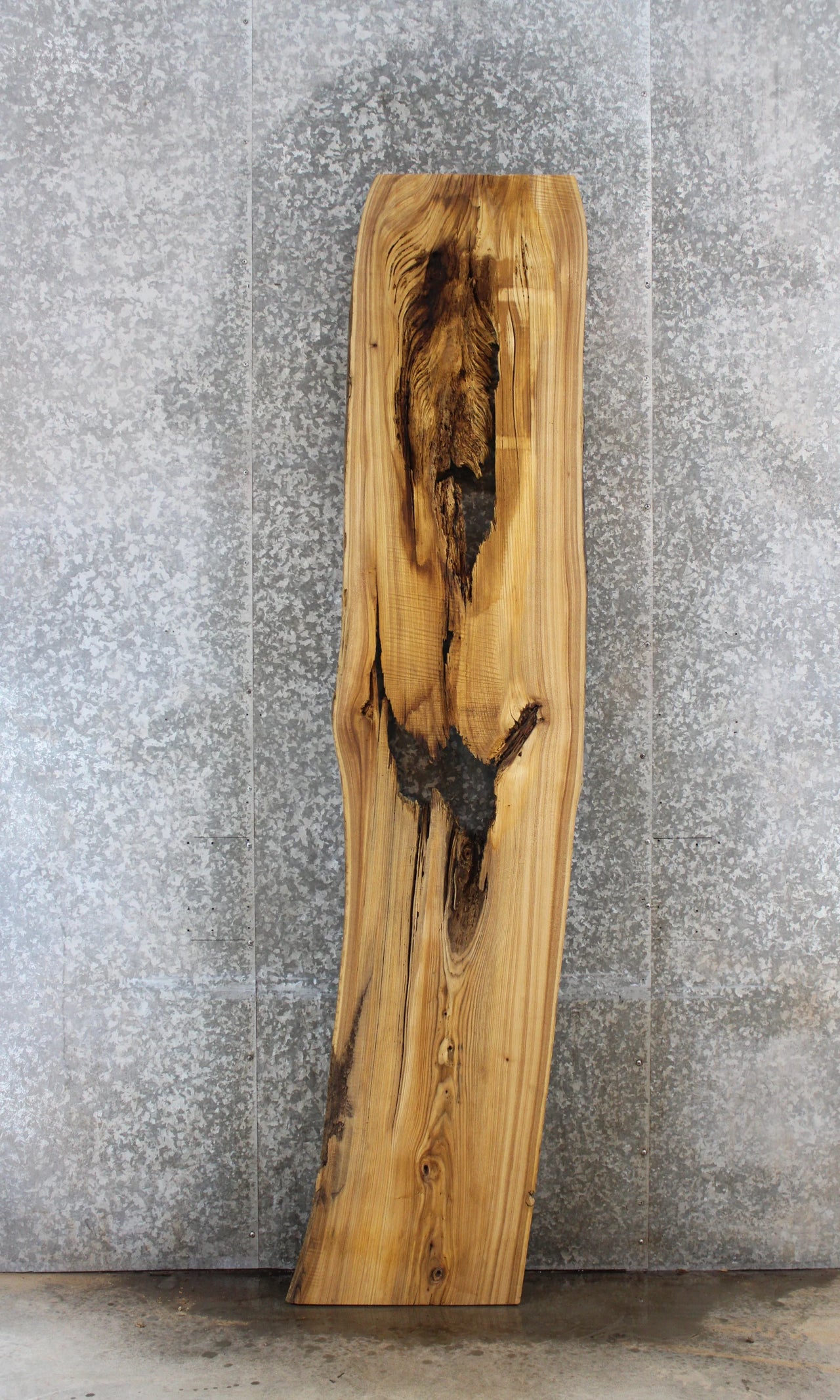 Elm Live Edge Bench/Bar Top/DIY Epoxy Slab 51