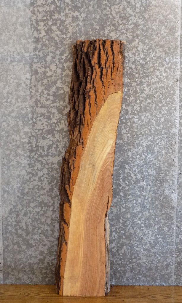 Salvaged Live Edge Bark Ash Floating Vanity/Shelf Slab 522