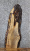 Thumbnail for Live Edge Spalted Maple Side/Sofa Table Top Slab 523
