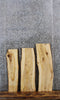 Thumbnail for 3- Natural Edge Slabs, Live Edge Hickory Taxidermy Boards 5243-5245