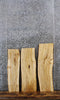 Thumbnail for 3- Natural Edge Slabs, Live Edge Hickory Taxidermy Boards 5243-5245
