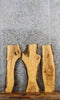 Thumbnail for 3- Natural Edge Maple Taxidermy Mounts 5258-5260