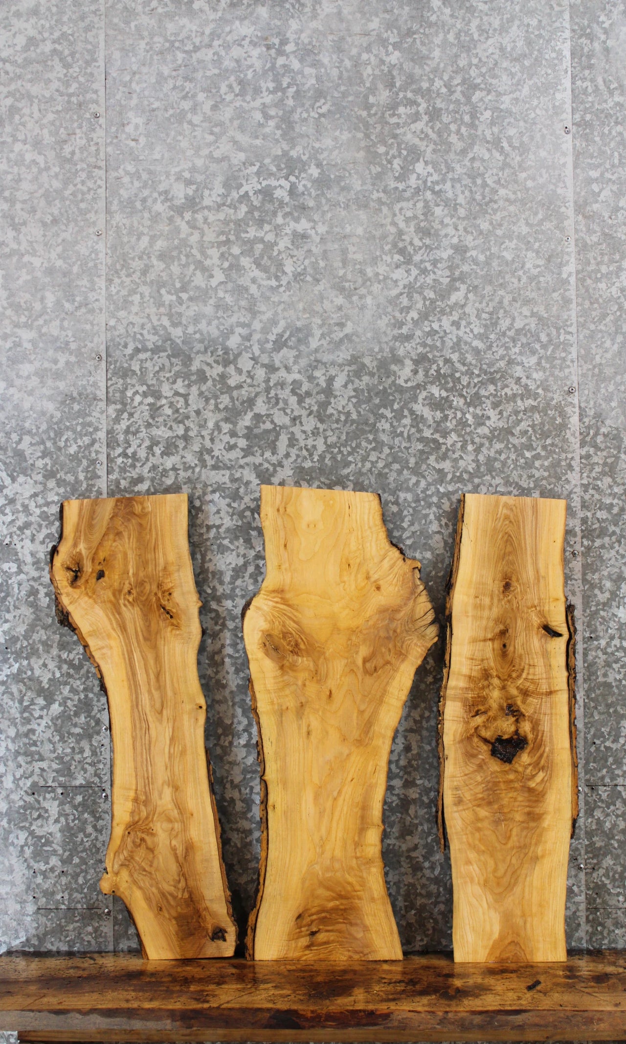 3- Natural Edge Maple Taxidermy Mounts 5258-5260