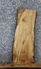 Thumbnail for Live Edge Maple Taxidermy Mounts/Side Table Slab 5284