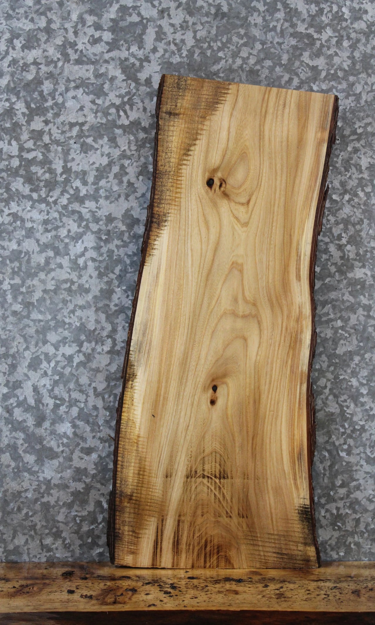 Live Edge Maple Taxidermy Mounts/Side Table Slab 5284