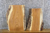 Thumbnail for 2- Natural Edge Salvaged Red Oak Craft Pack/End Table Top Slabs 5285-5286