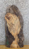 Thumbnail for Reclaimed Live Edge Spalted Maple Sofa/Side Table Top Slab 528