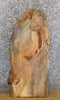 Thumbnail for Reclaimed Live Edge Spalted Maple Sofa/Side Table Top Slab 528