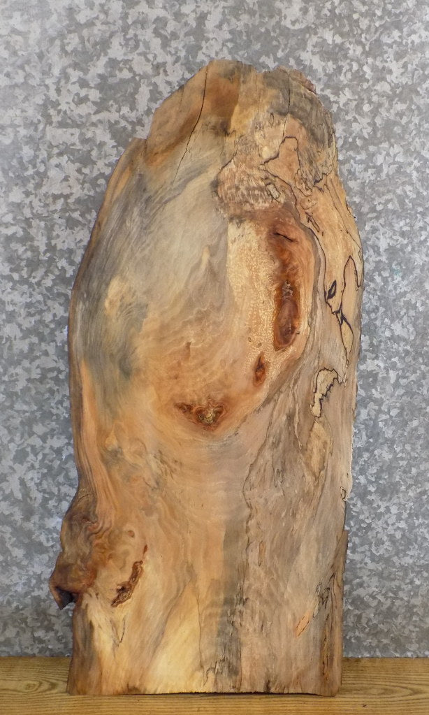 Reclaimed Live Edge Spalted Maple Sofa/Side Table Top Slab 528