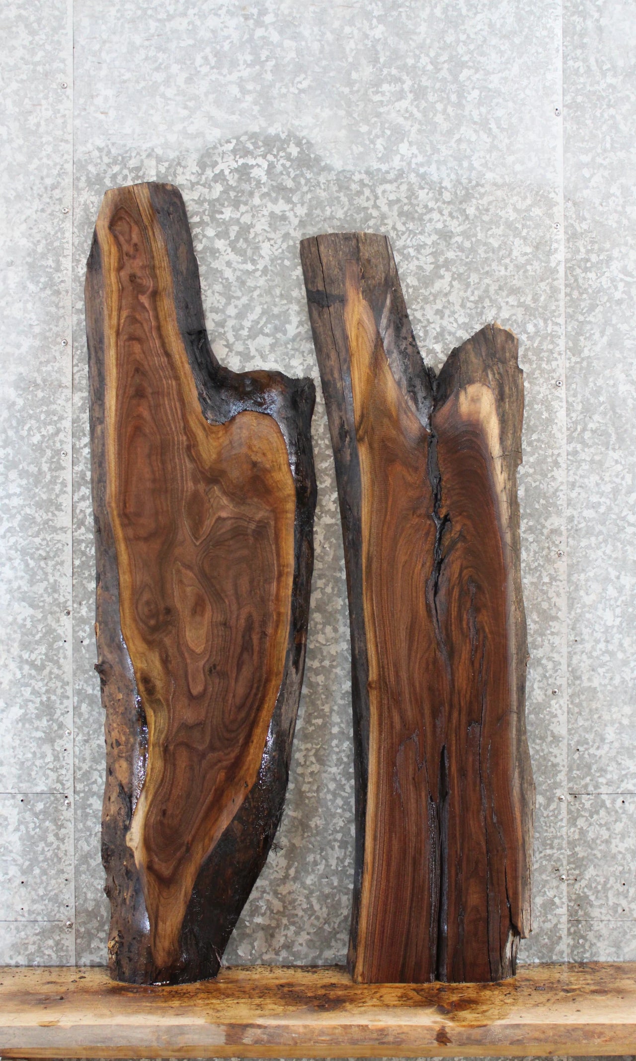 2- Rustic Live Edge Black Walnut Coffee Table Top 529-530