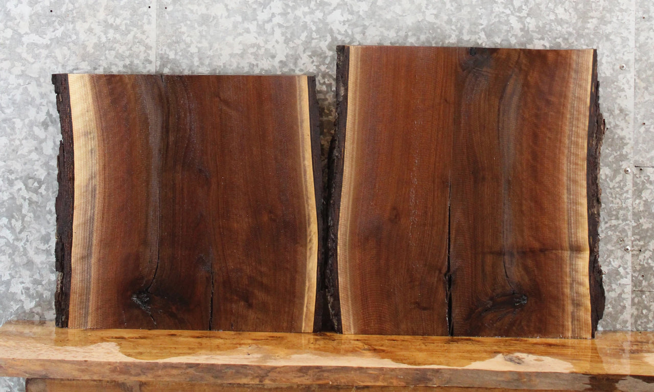 2- Rustic Live/Natural Edge Black Walnut End Table Tops 5293-5294