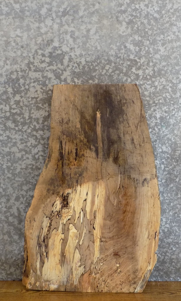 Live Edge Reclaimed Spalted Maple Sofa/Side Table Top Slab 5295