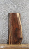 Thumbnail for Black Walnut Live Edge Charcuterie/End Table Slab 5295