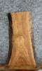 Thumbnail for Live Edge Ash Side Table Top/Taxidermy Mount Slab 5295