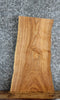 Thumbnail for Live Edge Ash Side Table Top/Taxidermy Mount Slab 5295