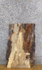 Thumbnail for Natural Edge Spalted Maple Reclaimed End Table Top Slab 5296