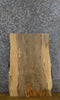Thumbnail for Natural Edge Spalted Maple Reclaimed End Table Top Slab 5296