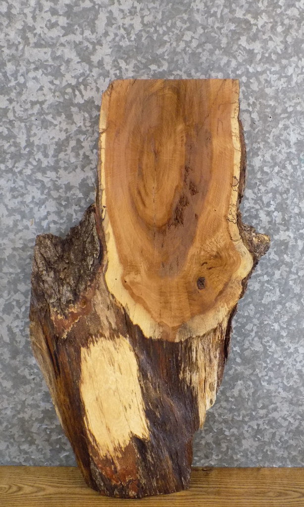 Live Edge Salvaged White Oak Side/End/Entry Table Top Slab 5297