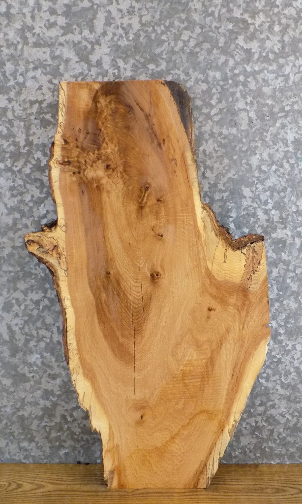 Live Edge Salvaged White Oak Side/End/Entry Table Top Slab 5297
