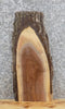 Thumbnail for Rustic Black Walnut End/Side Table Top Wood Slab 5298