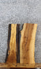 Thumbnail for 2- Live Edge Ash Side Table Top/Taxidermy Mount Slabs 5299-5300