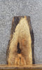 Thumbnail for Live Edge Spalted Maple Taxidermy Mount/Wall Art Slab 5299