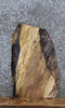 Thumbnail for Live Edge Spalted Maple End Table Top/Taxidermy Mount Slab 5301