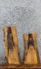 Thumbnail for 2- Live Edge Ash Side Table Tops/Taxidermy Mount Slabs 5304-5305