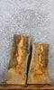 Thumbnail for 2- Live Edge Ash Side Table Tops/Taxidermy Mount Slabs 5304-5305