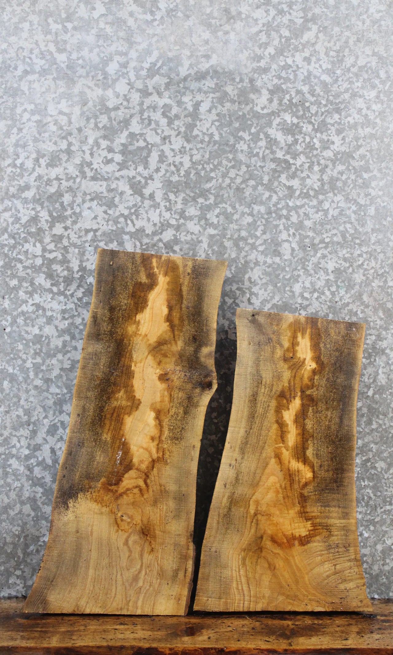 2- Live Edge Ash Side Table Tops/Taxidermy Mount Slabs 5304-5305