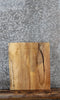 Thumbnail for Natural Edge Maple End Table Top Slab 5304
