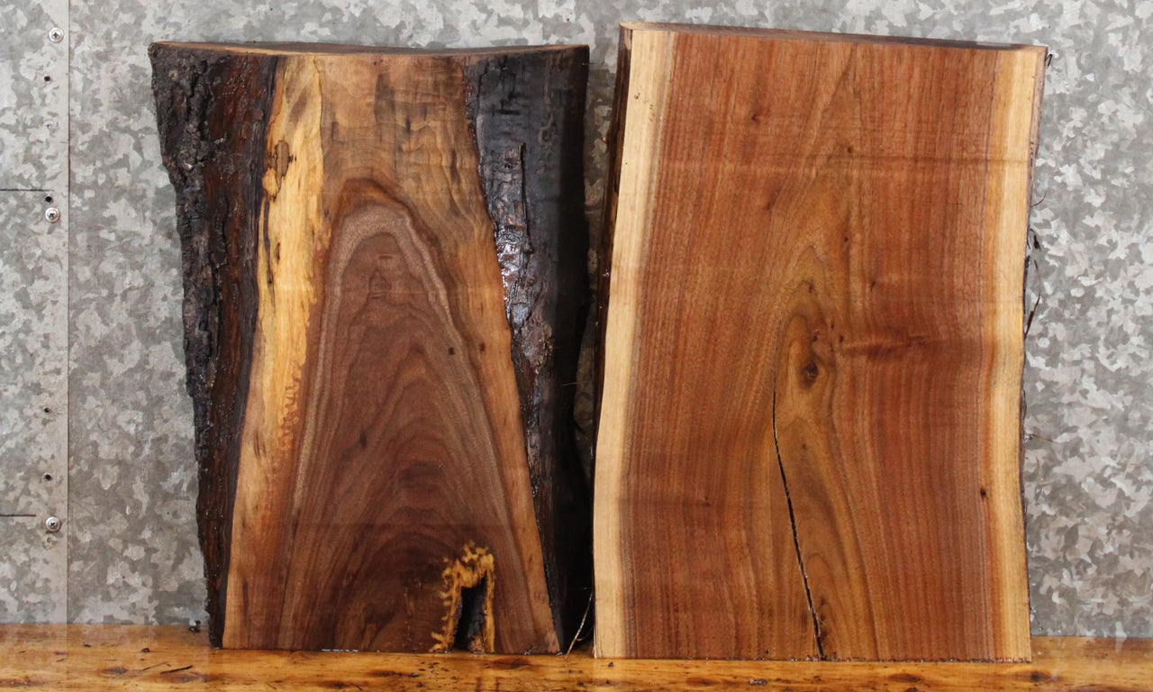2- Salvaged Black Walnut Live Edge Cutting Board Slabs 5306-5307