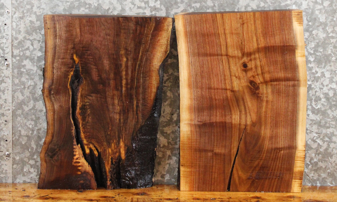 2- Salvaged Black Walnut Live Edge Cutting Board Slabs 5306-5307
