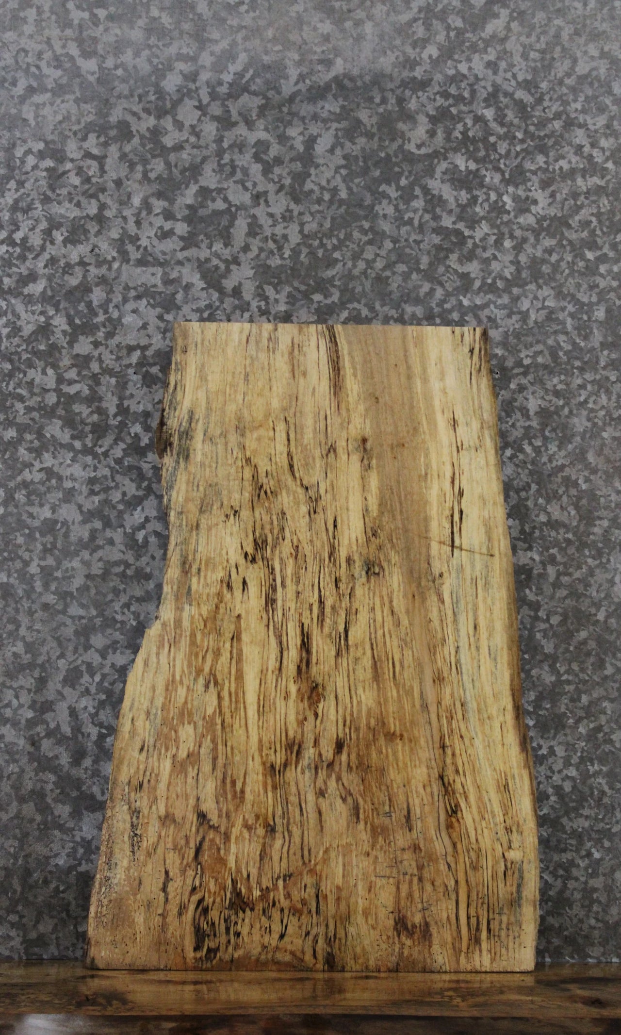 Live Edge Spalted Maple Taxidermy Mount/Side Table Top 5308