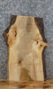 Thumbnail for Live Edge Maple Salvaged End/Accent/Coffee Table Top Slab 5310