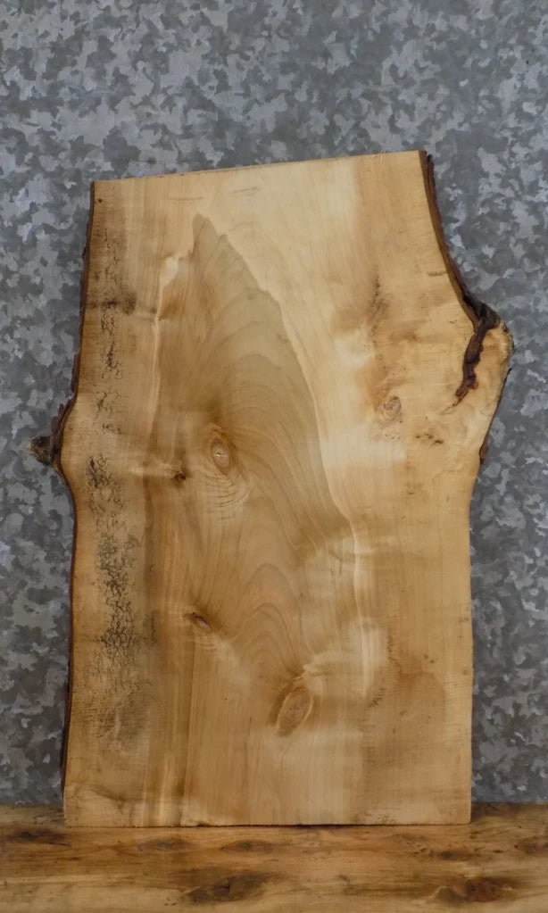 Live Edge Maple Salvaged End/Accent/Coffee Table Top Slab 5310