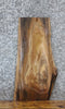 Thumbnail for Live Edge Black Walnut Side Table Top/Taxidermy Mount Slab 5310