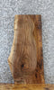 Thumbnail for Live Edge Black Walnut Side Table Top/Taxidermy Mount Slab 5310