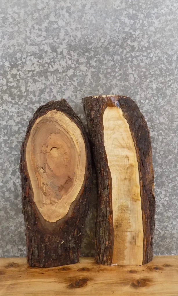 2- Live Edge Spalted Maple Wall Clock/Wall Shelf Slabs 5311-5312