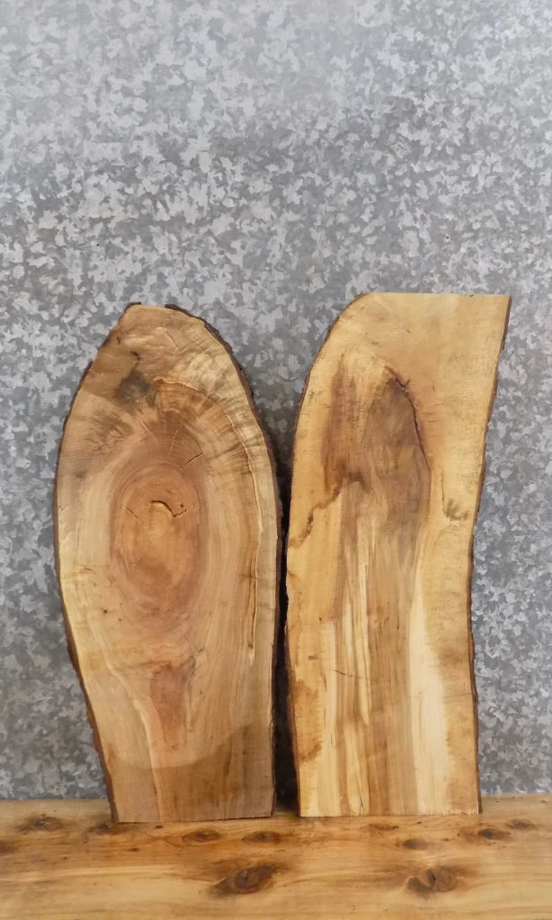 2- Live Edge Spalted Maple Wall Clock/Wall Shelf Slabs 5311-5312