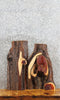 Thumbnail for 2- Natural Edge Cedar Charcuterie/Taxidermy Slabs 5316-5317