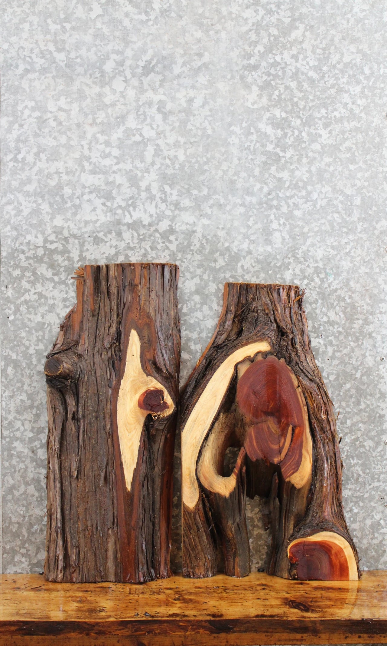 2- Natural Edge Cedar Charcuterie/Taxidermy Slabs 5316-5317